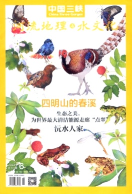 中国三峡杂志